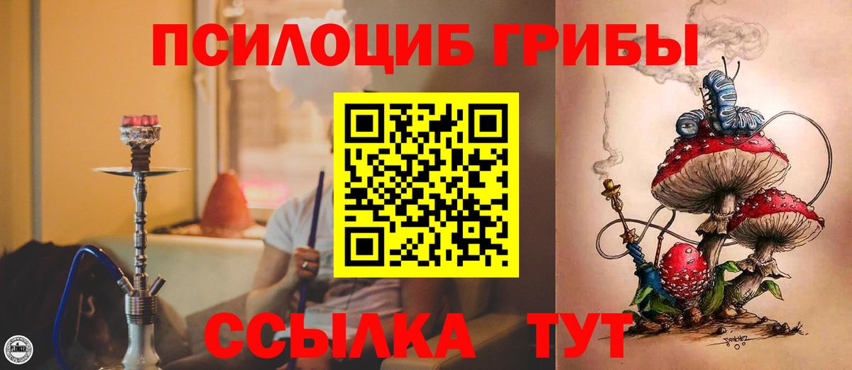 Белебей  Псилоцибиновые грибы MAGIC MUSHROOMS  Вход с VPN 